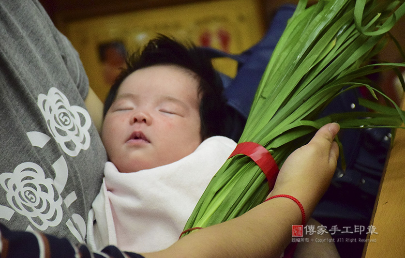 為吳寶寶準備來店，祝福儀式物品：韭菜